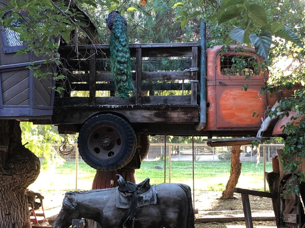 Wine Country Private Working Sheep Farm; Rustic Elegance Vila Temecula Exterior foto